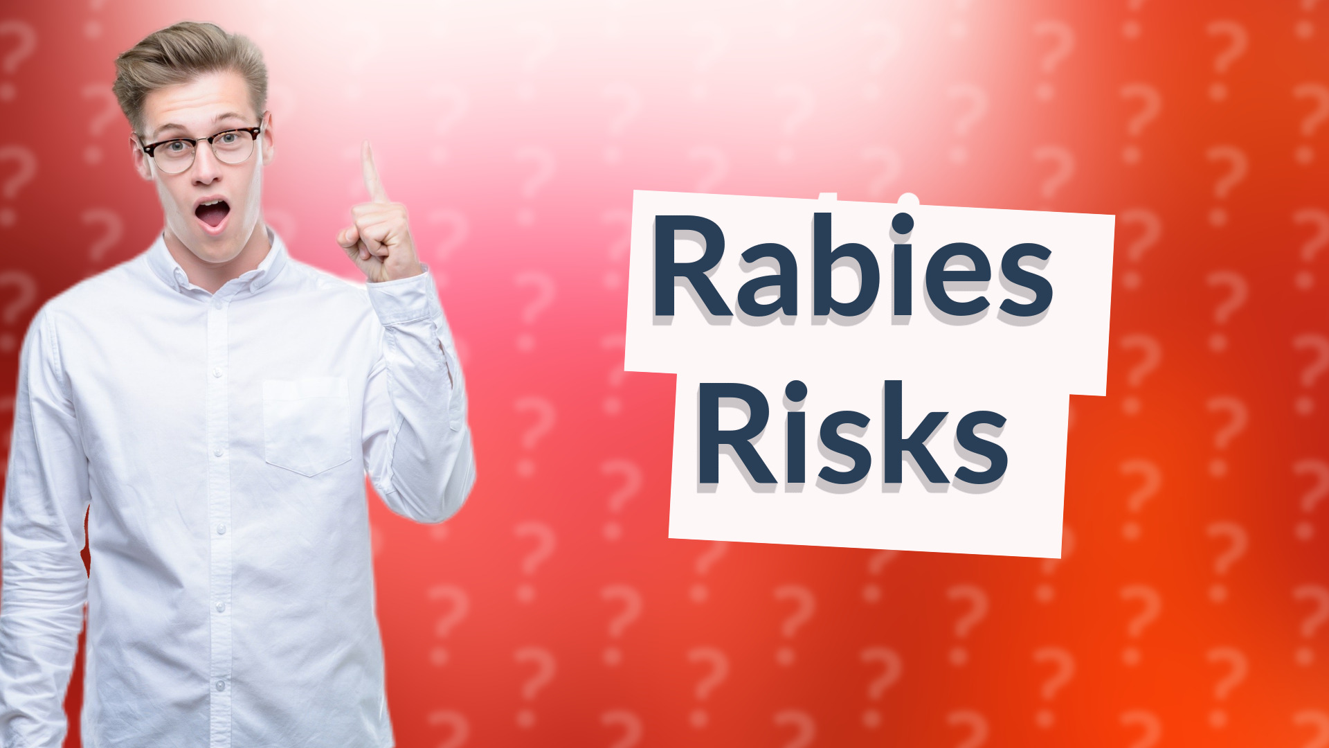 Rabies Risks