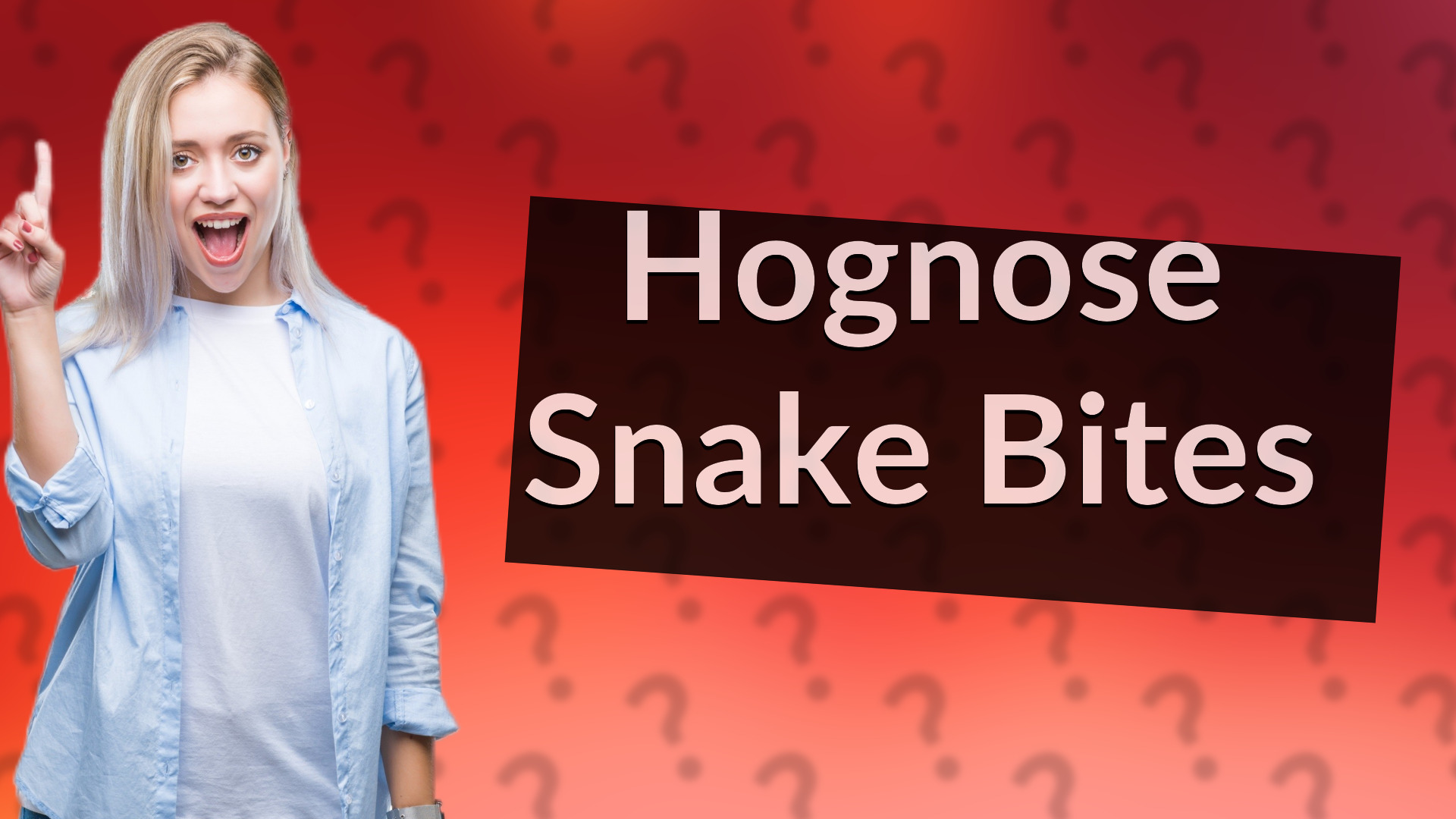 Hognose Snake Bites