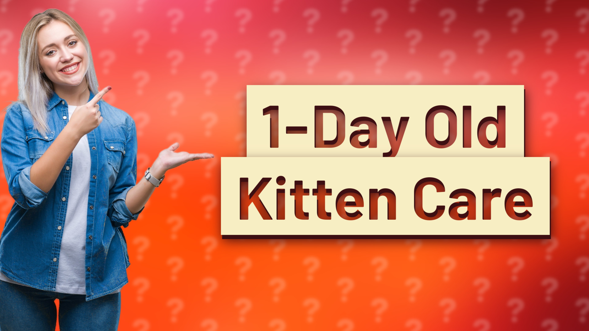 1-Day Old Kitten Care