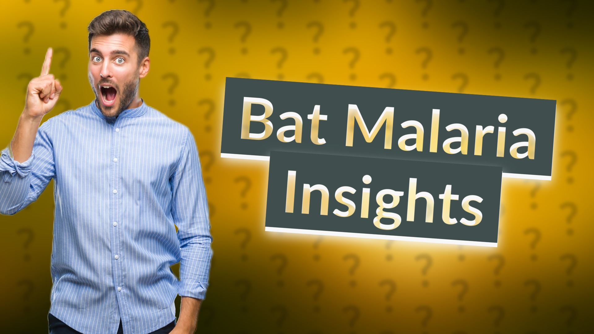 Bat Malaria Insights