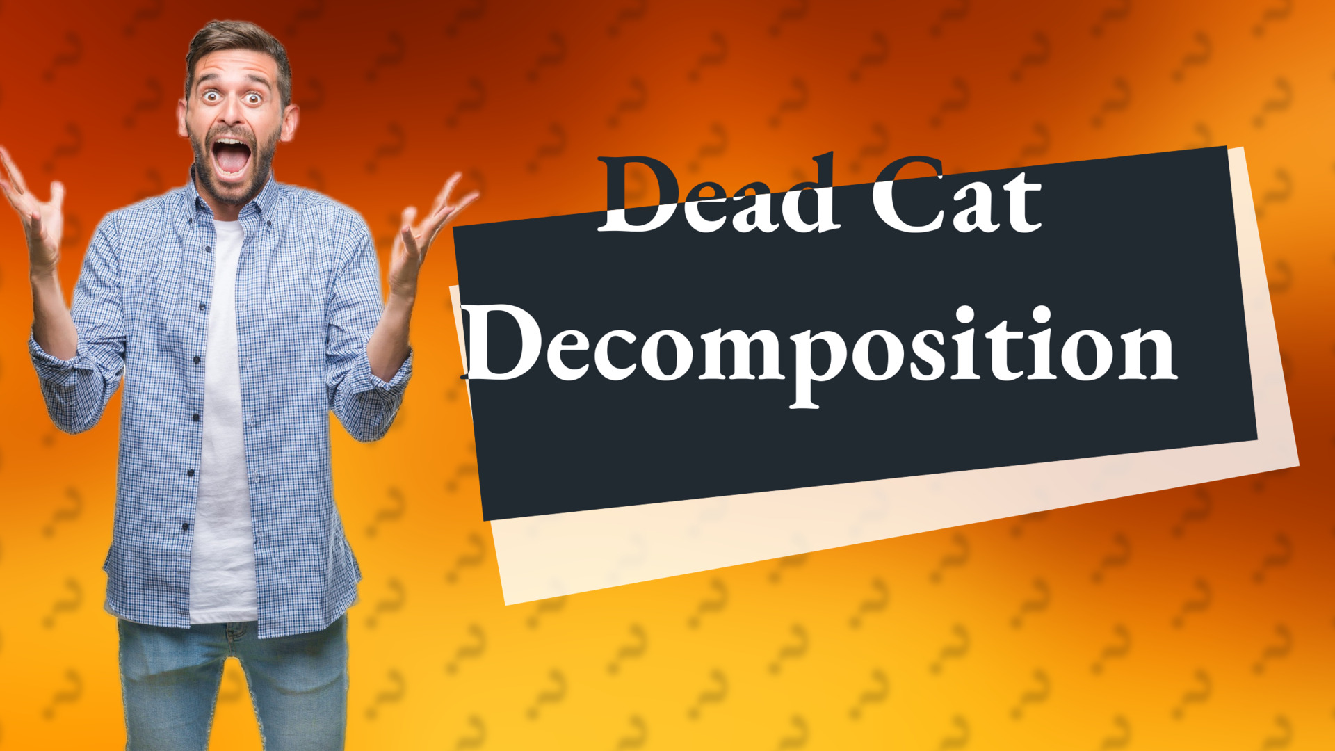 Dead Cat Decomposition