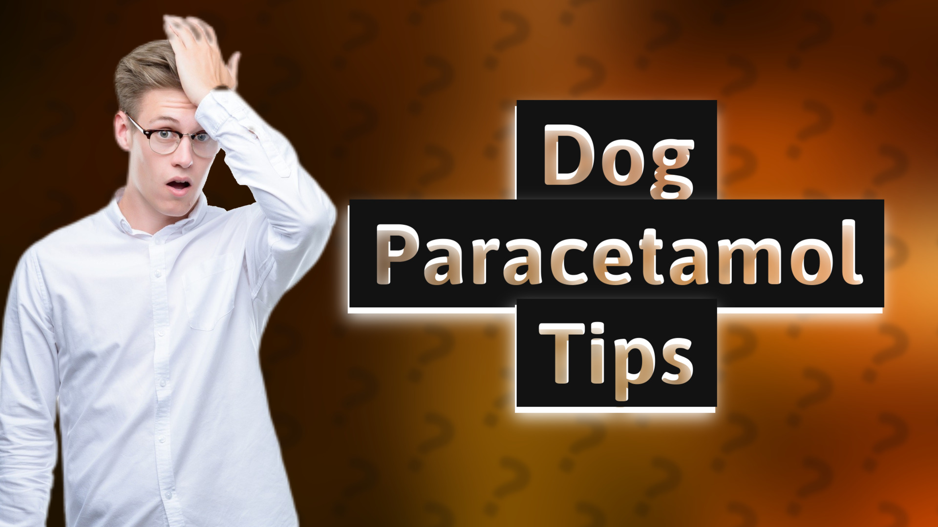 Dog Paracetamol Tips