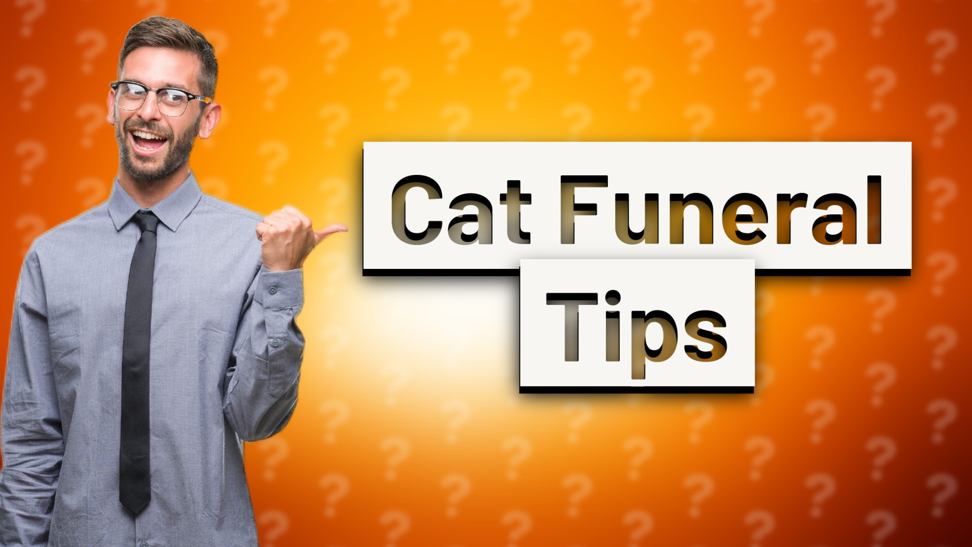 Cat Funeral Tips
