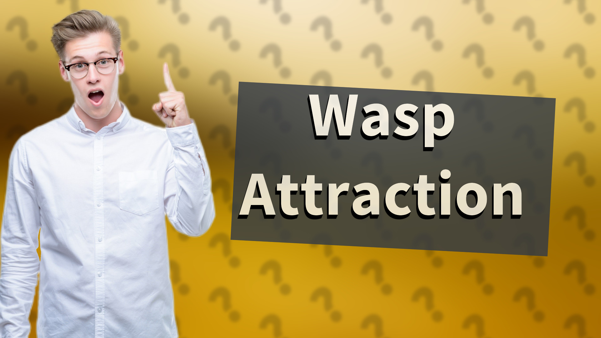 Wasp Attraction