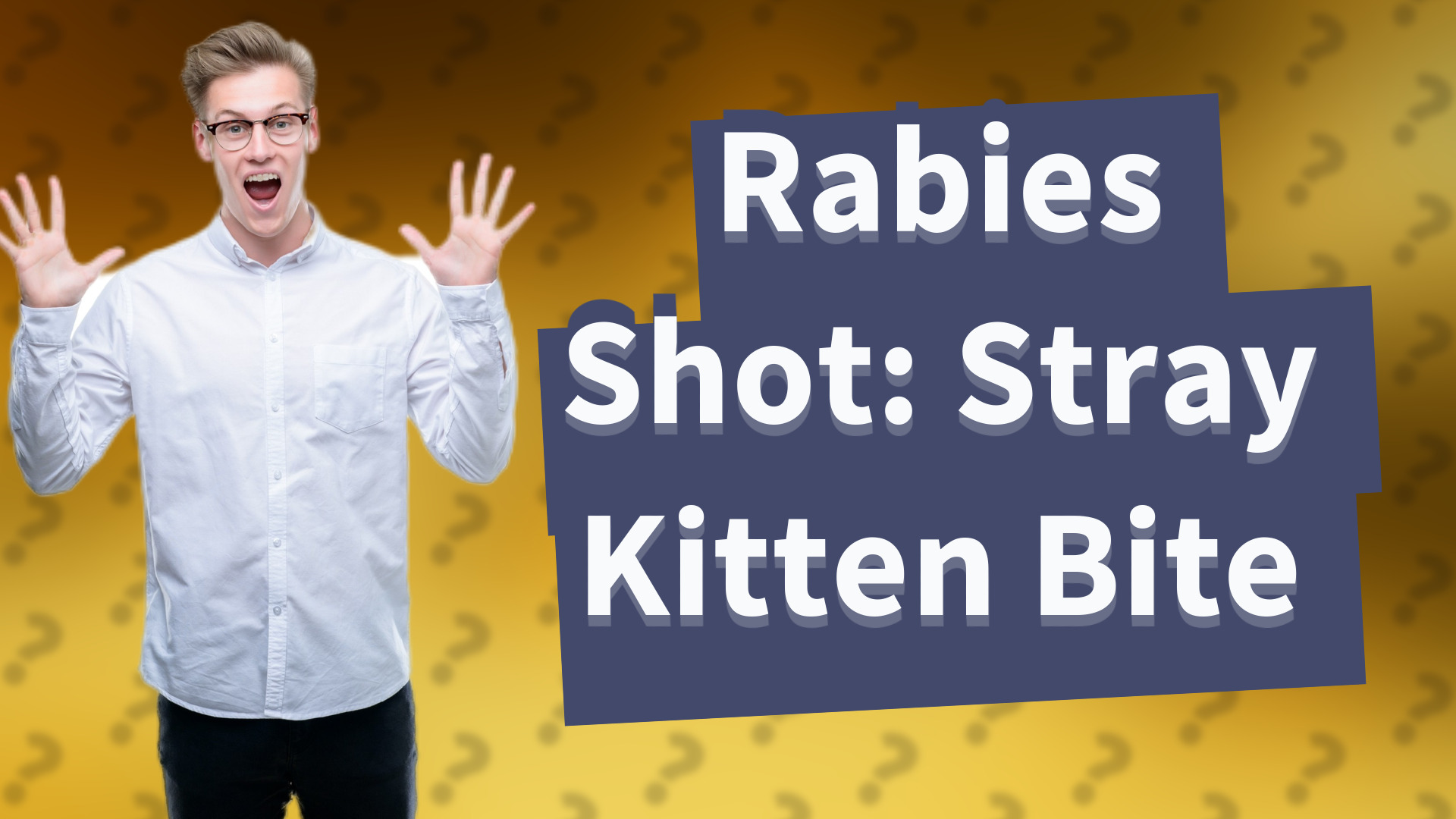 Rabies Shot: Stray Kitten Bite