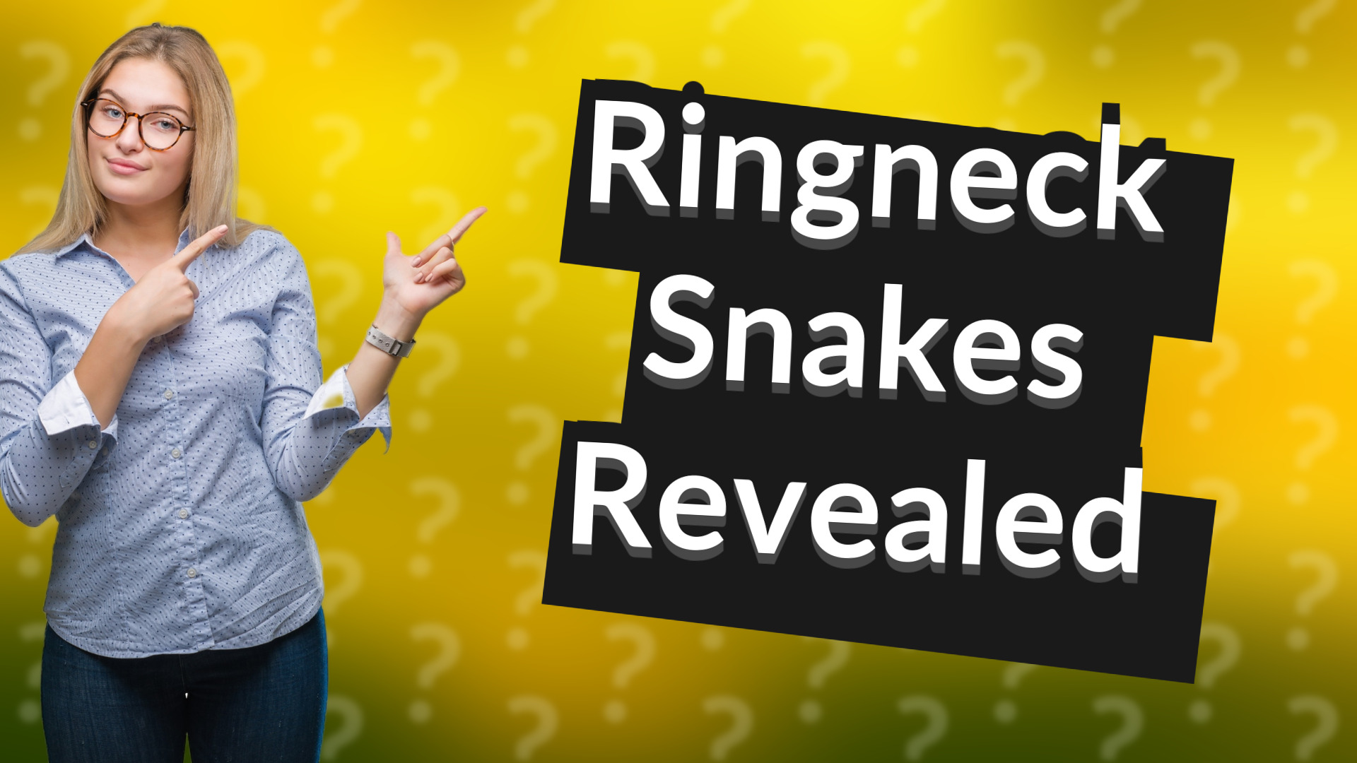 Ringneck Snakes Revealed