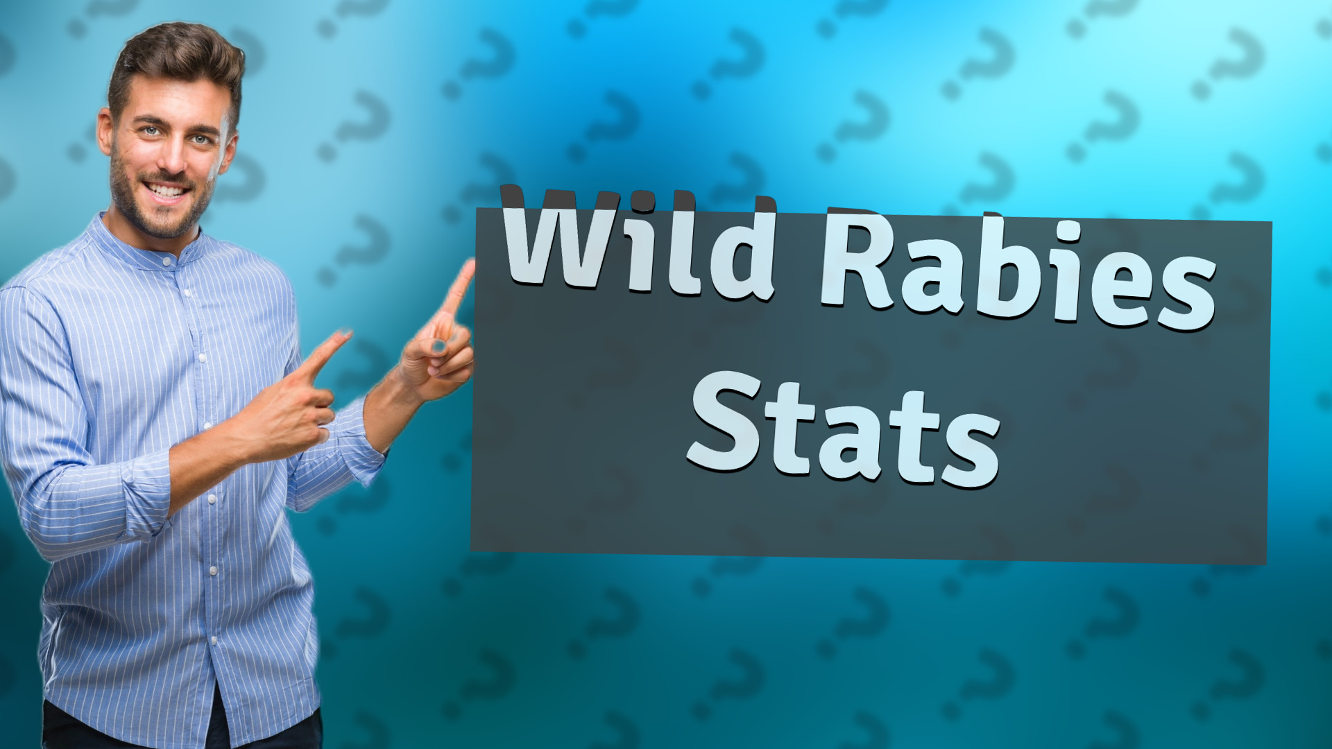 Wild Rabies Stats