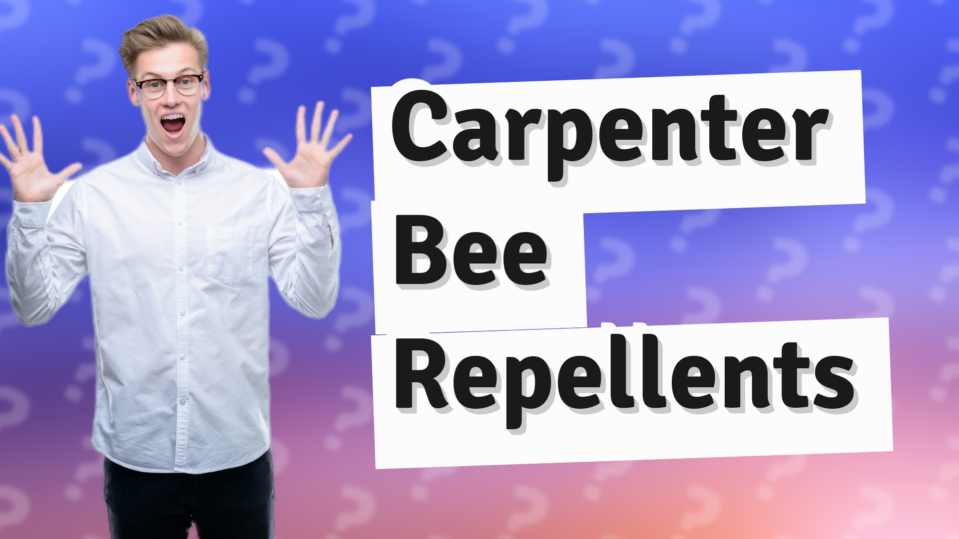 Carpenter Bee Repellents