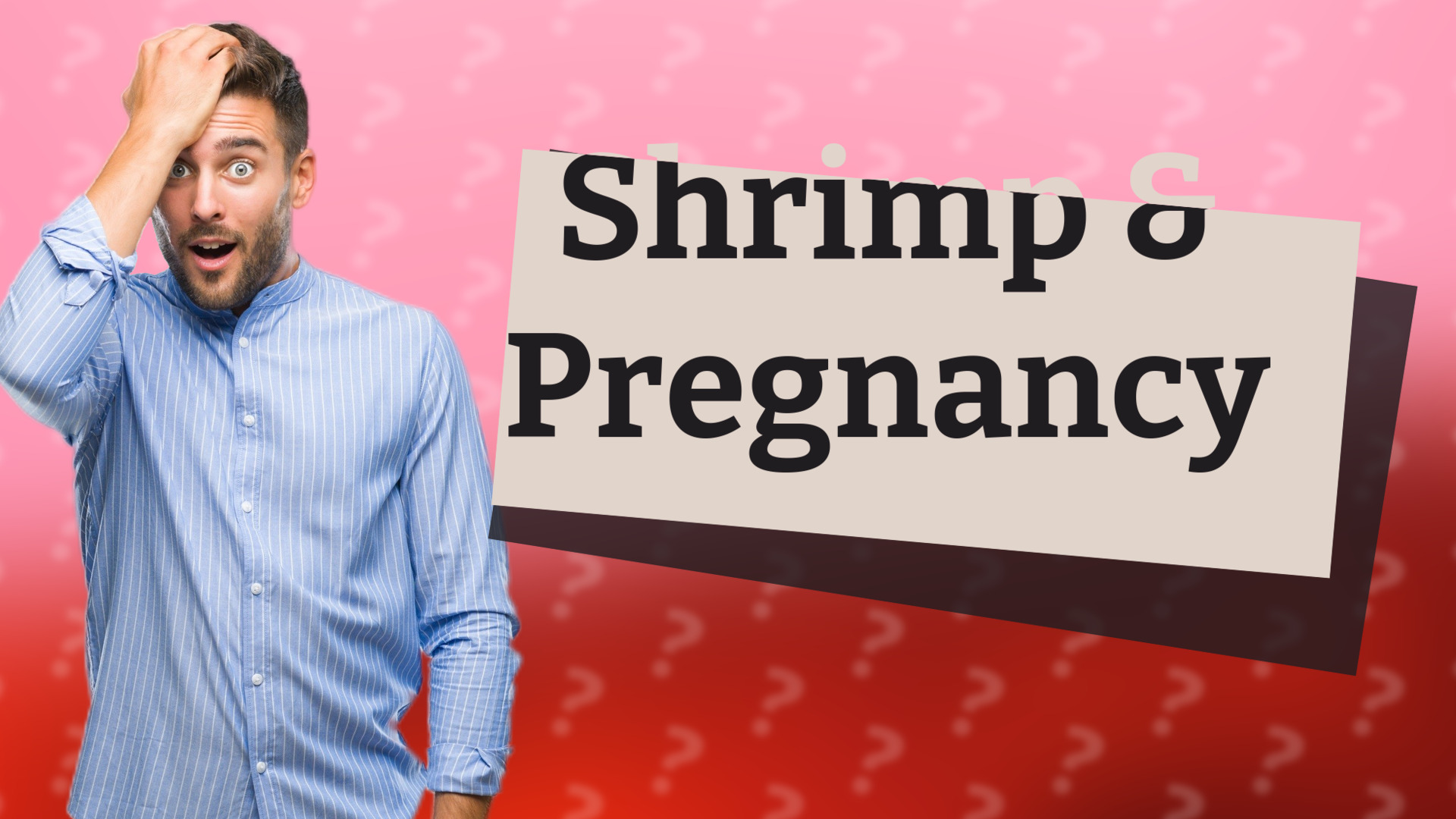 Shrimp & Pregnancy