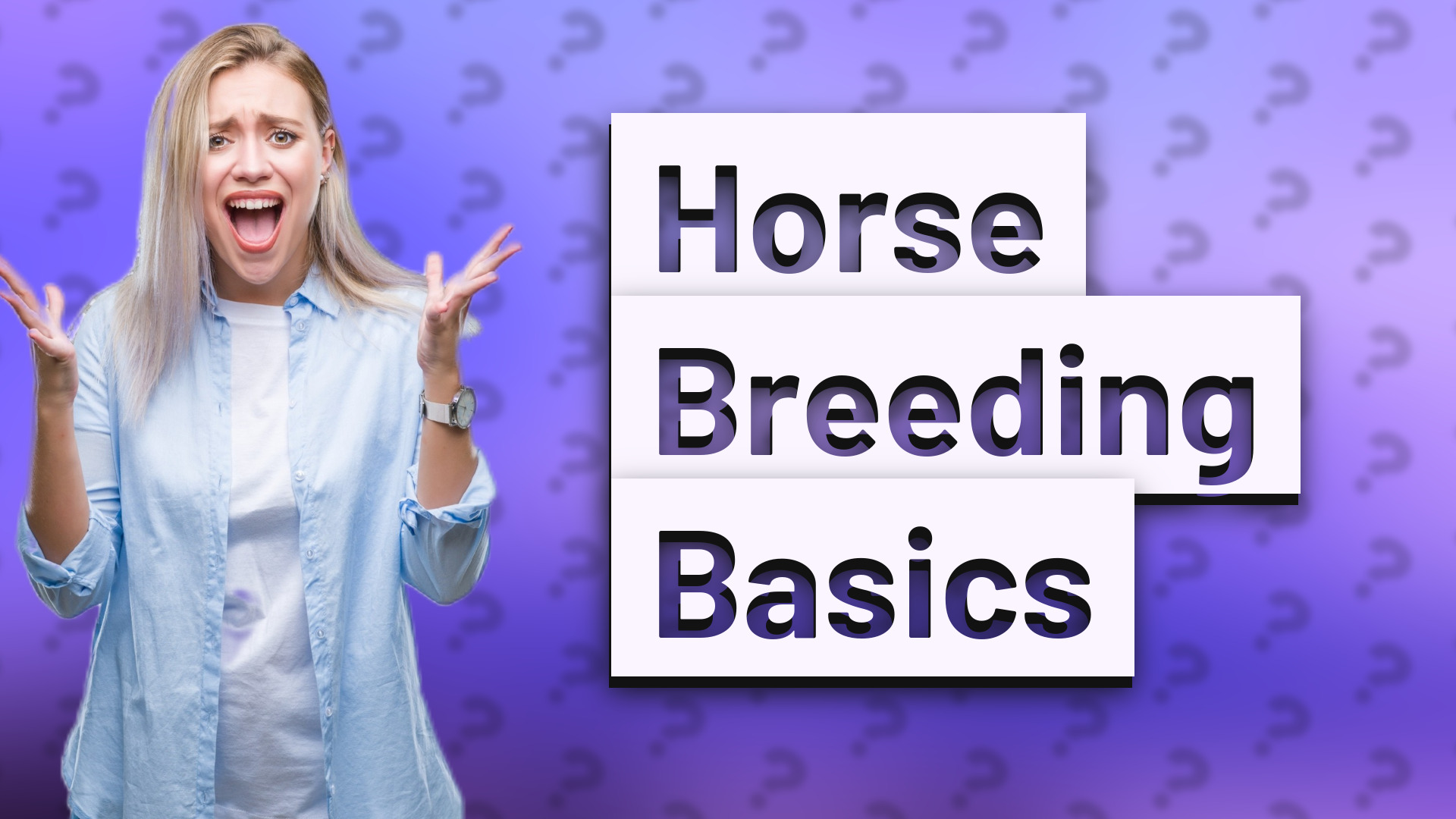 Horse Breeding Basics