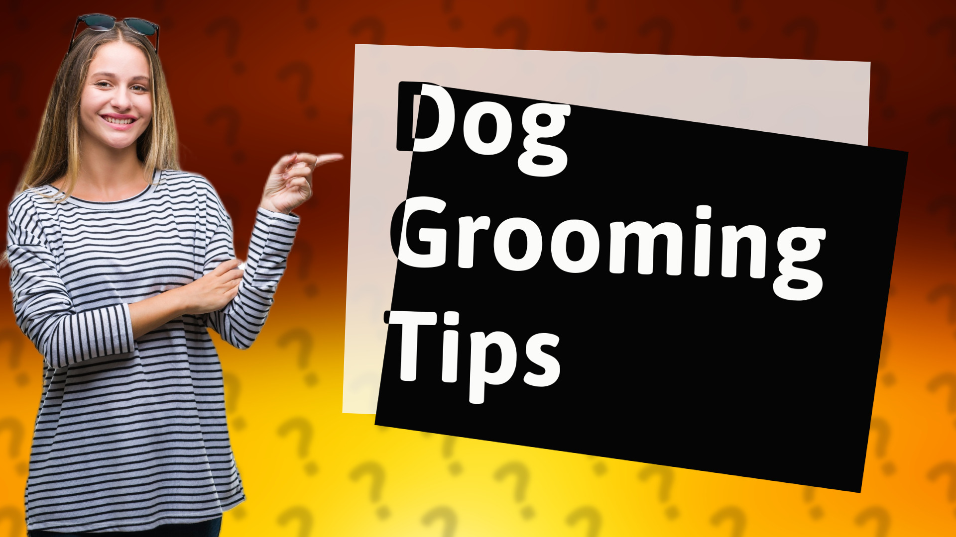 Dog Grooming Tips