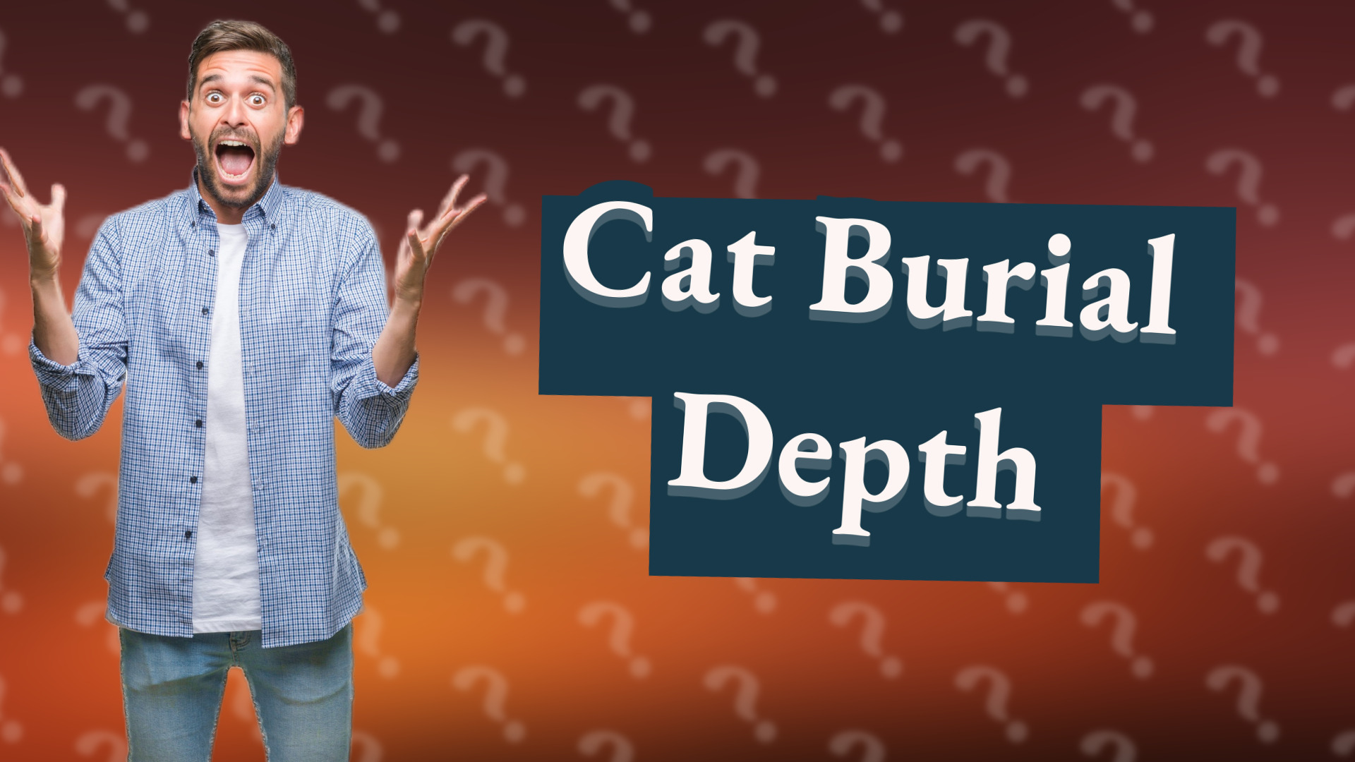 Cat Burial Depth