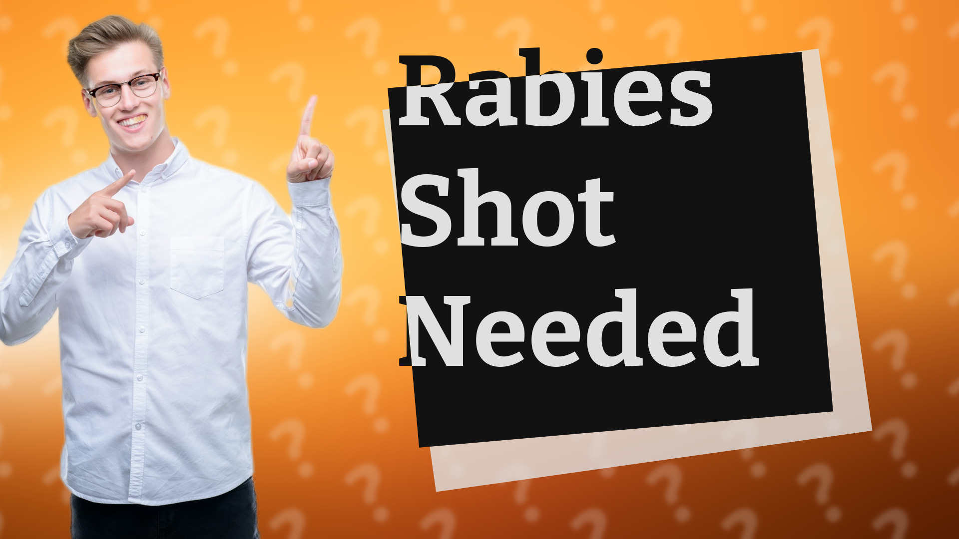 Rabies Shot Needed