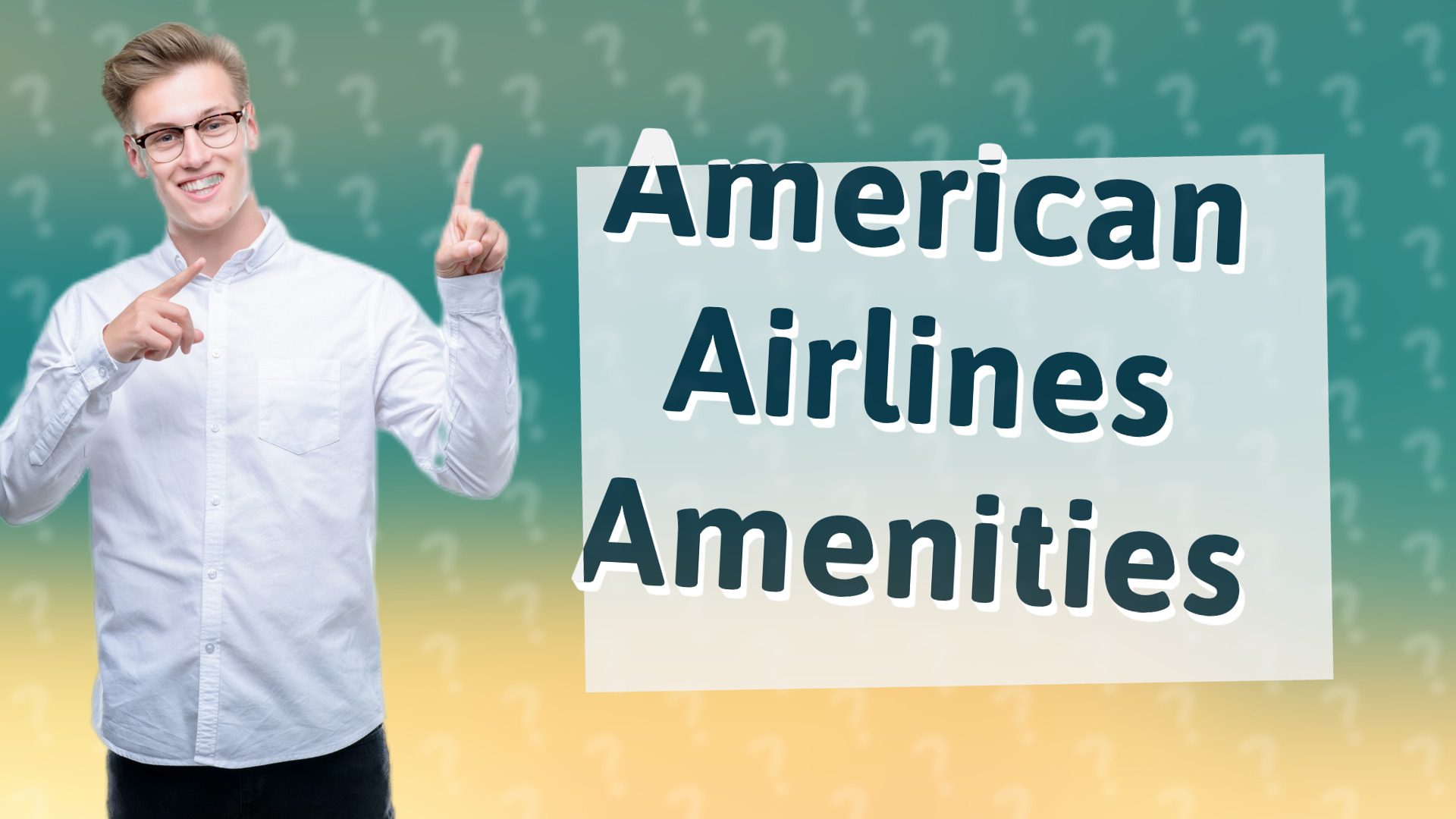 American Airlines Amenities