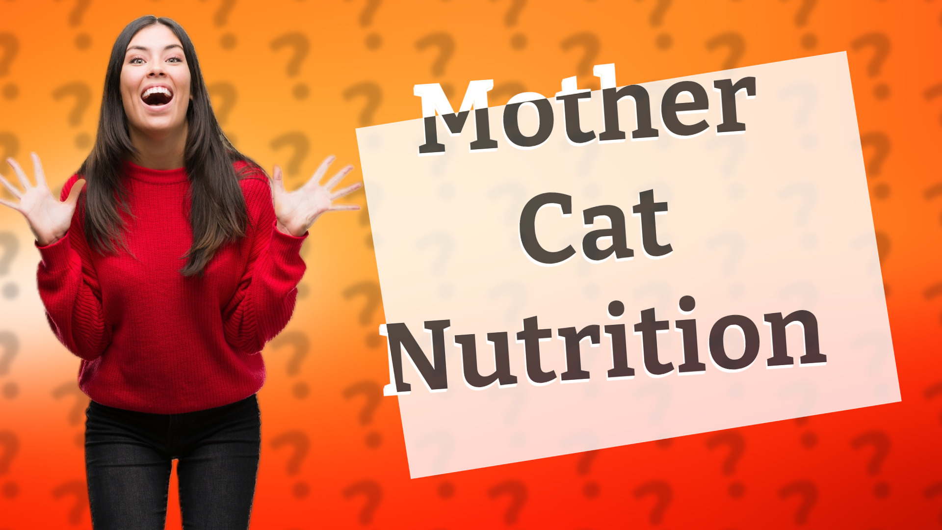 Mother Cat Nutrition