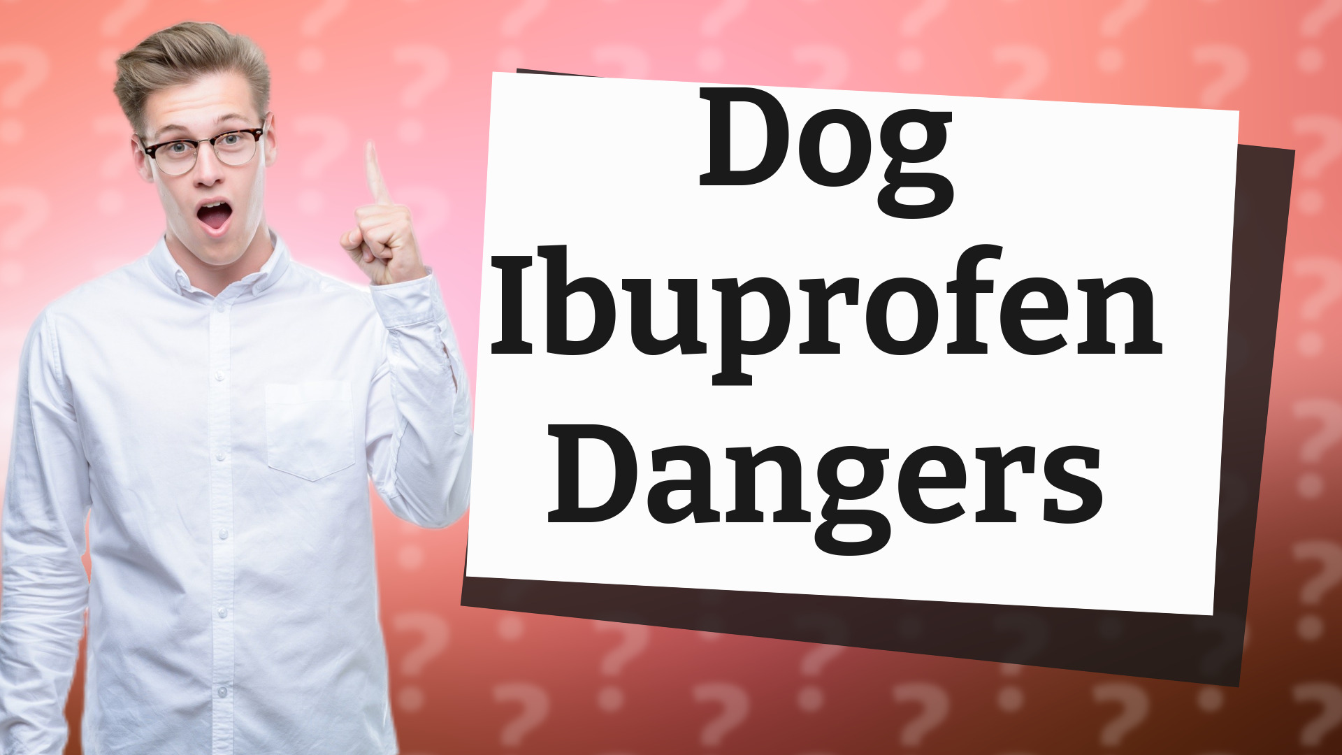 Dog Ibuprofen Dangers