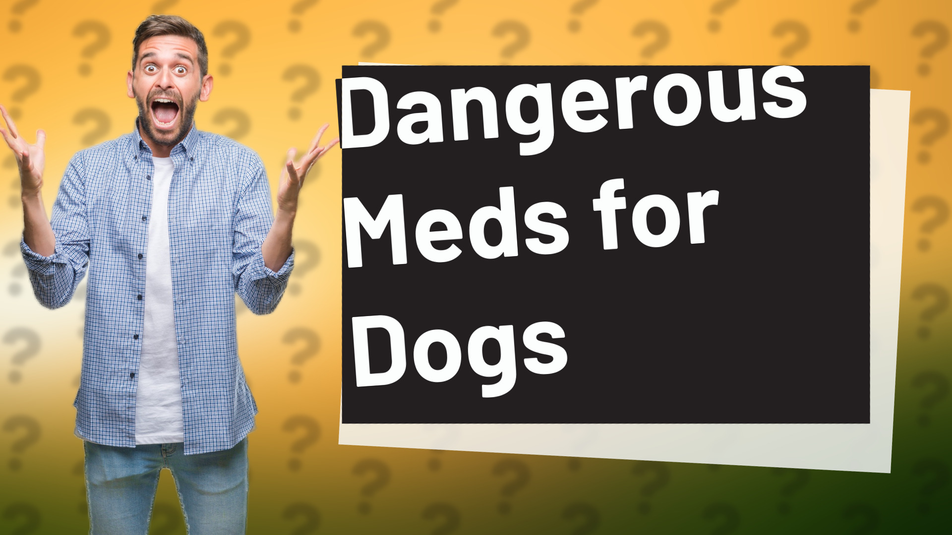 Dangerous Meds for Dogs