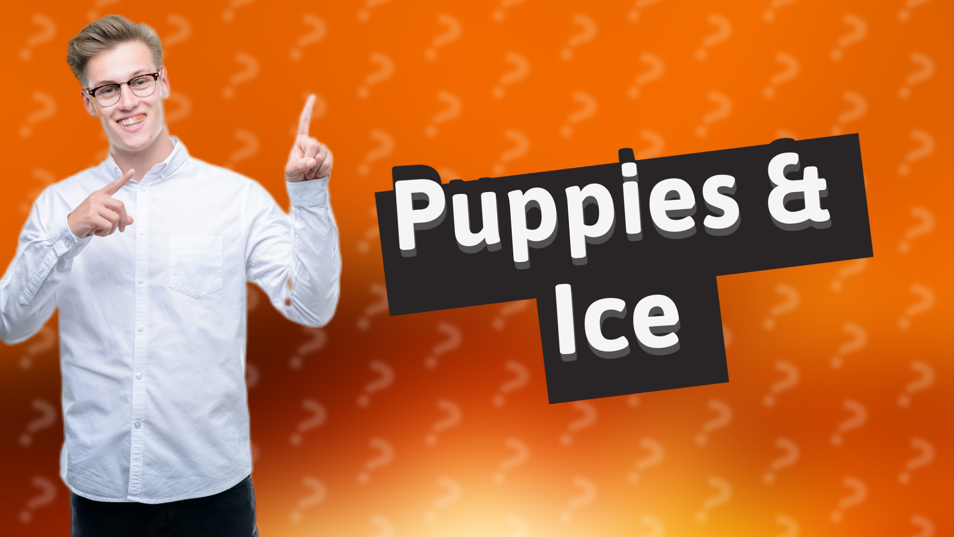 Puppies & Ice