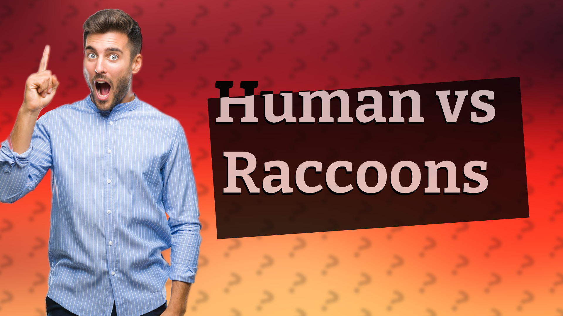 Human vs Raccoons