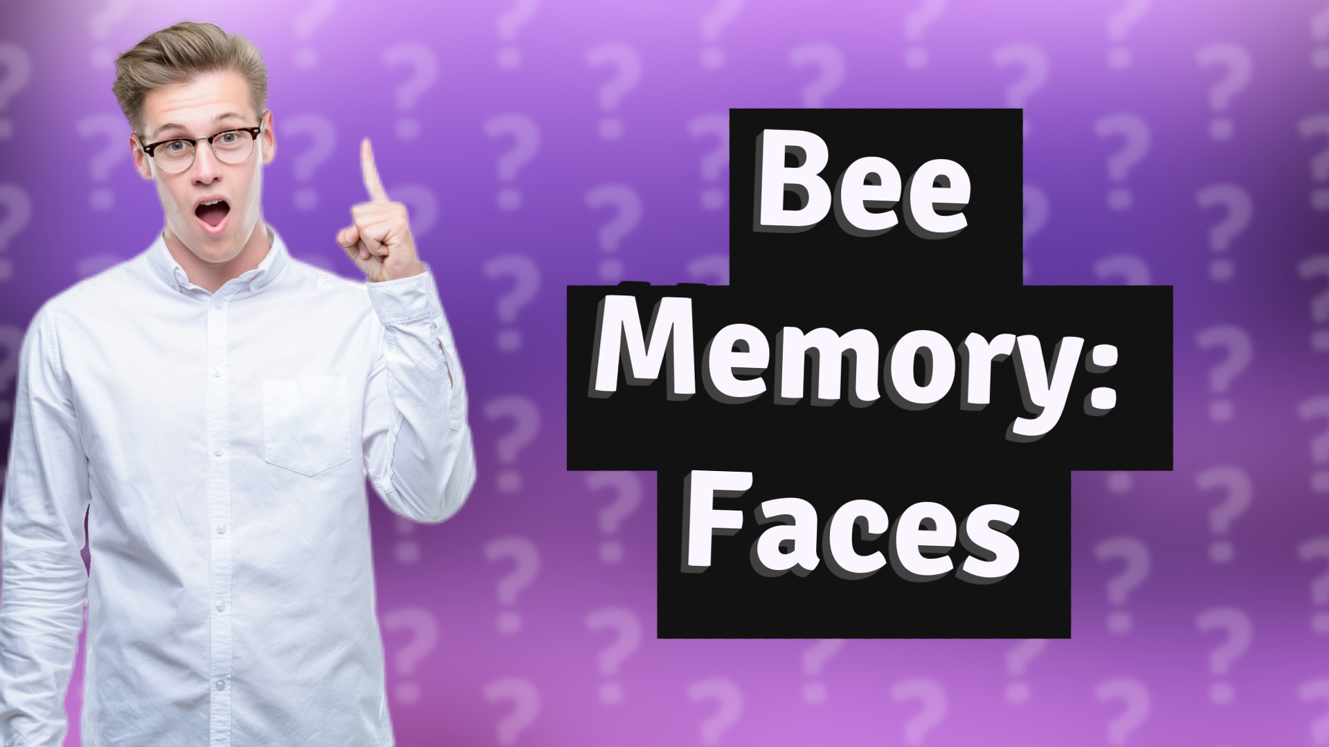 Bee Memory: Faces