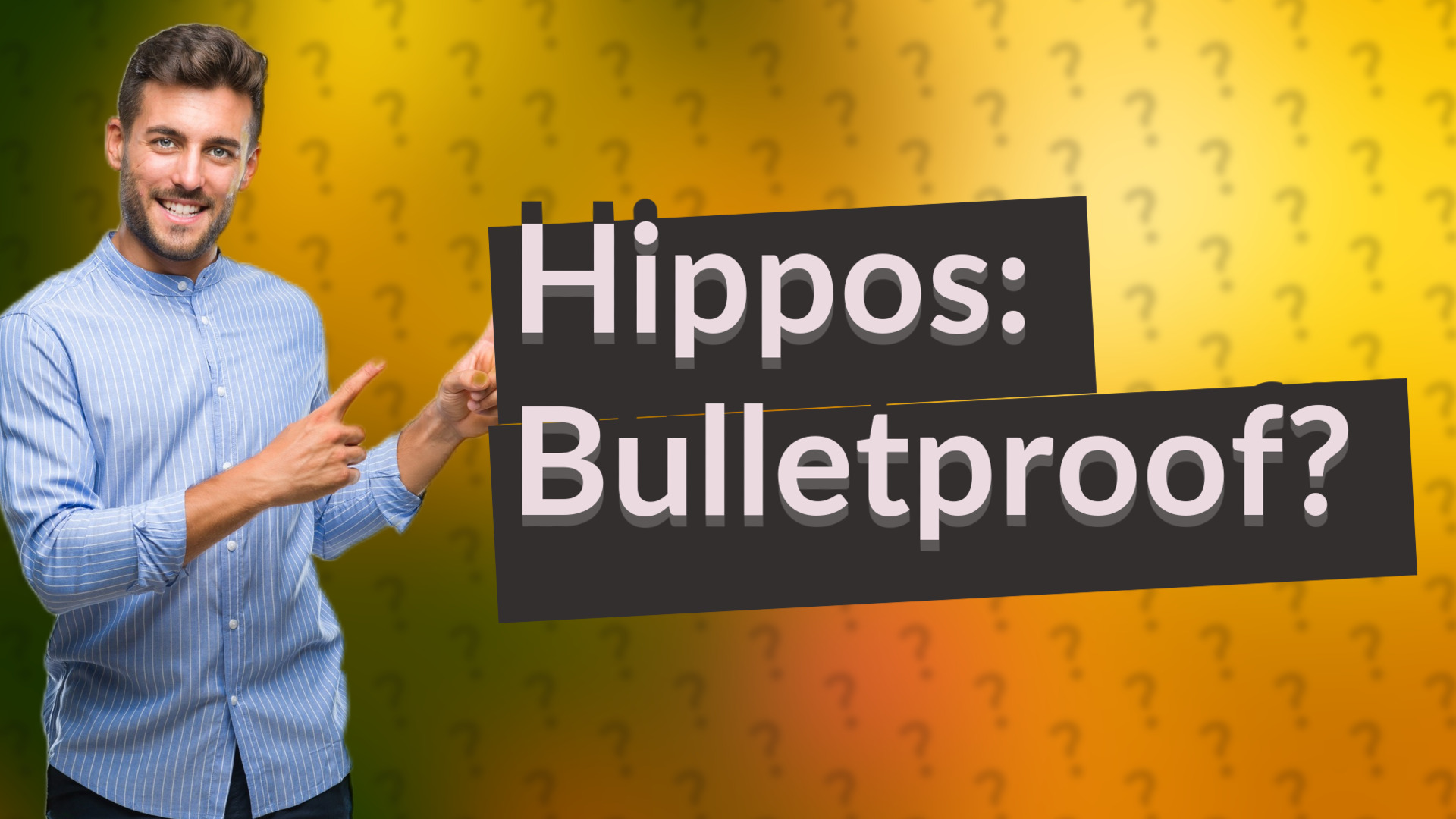 Hippos: Bulletproof?