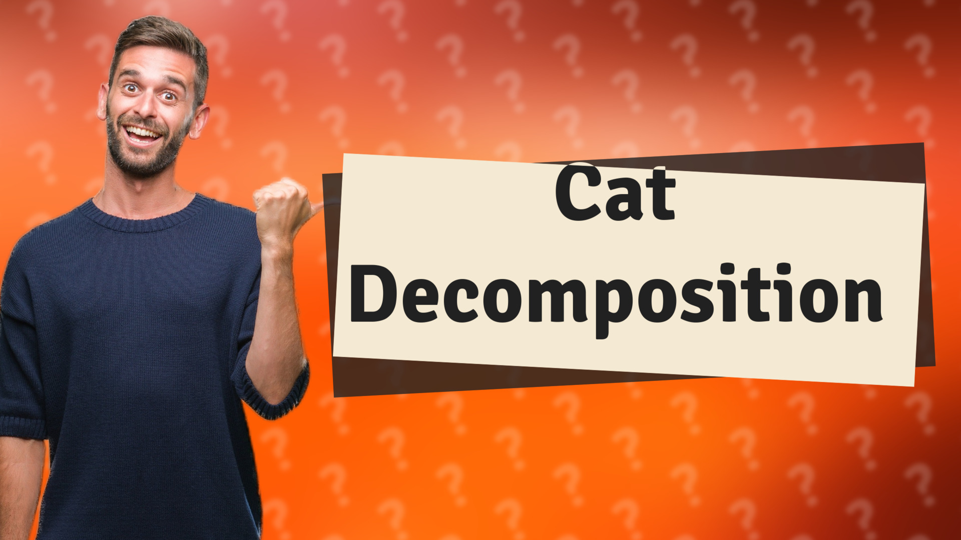 Cat Decomposition