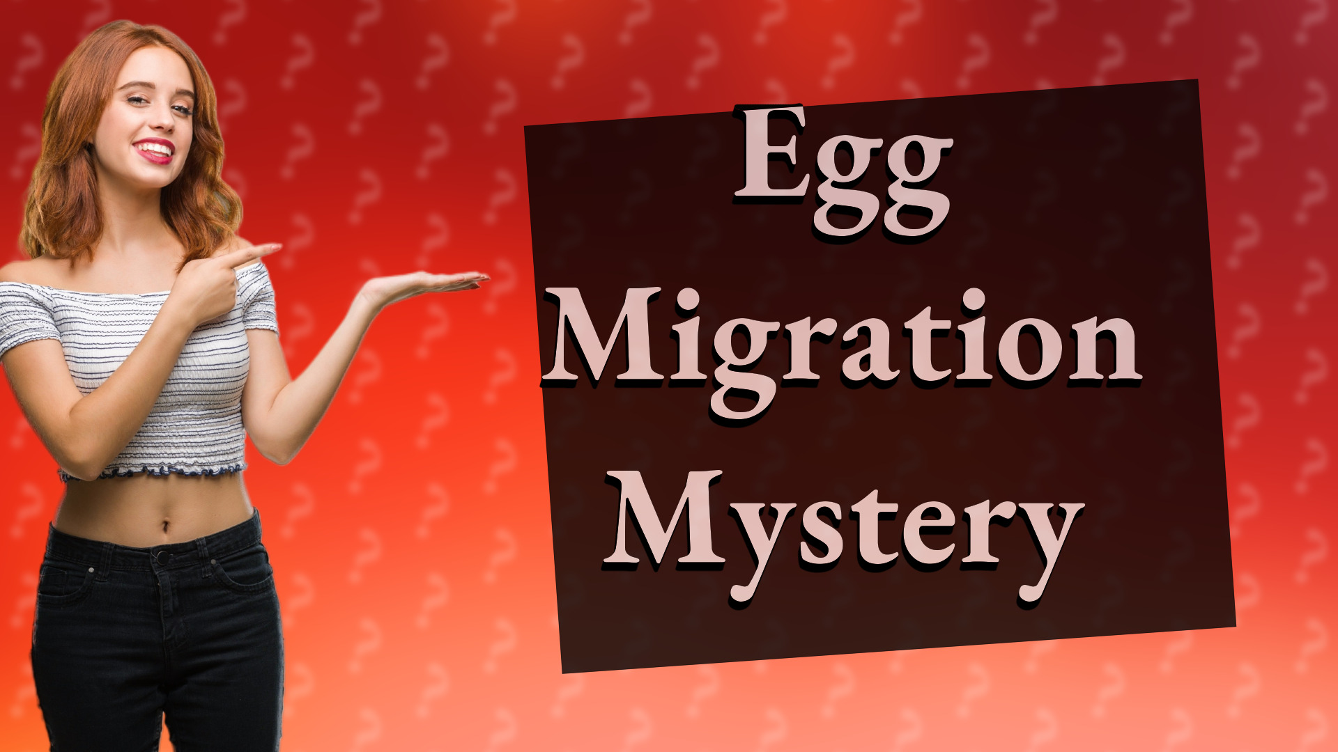 Egg Migration Mystery