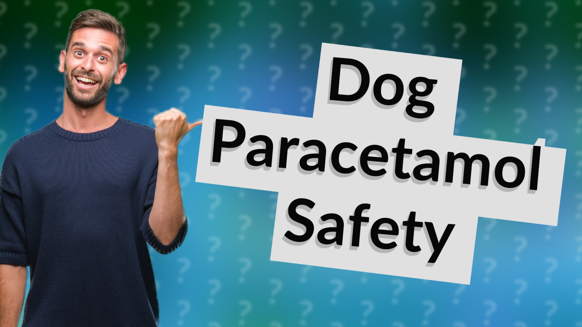 Dog Paracetamol Safety
