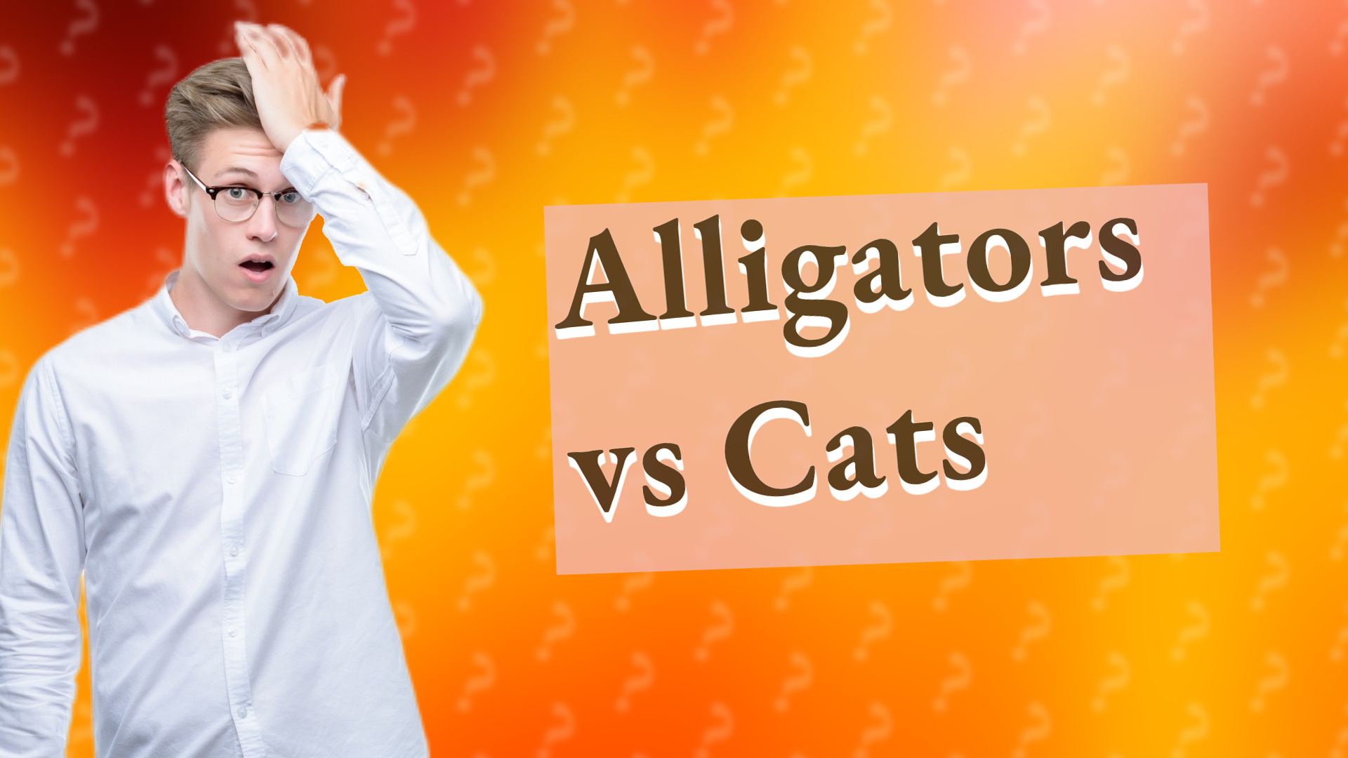 Alligators vs Cats
