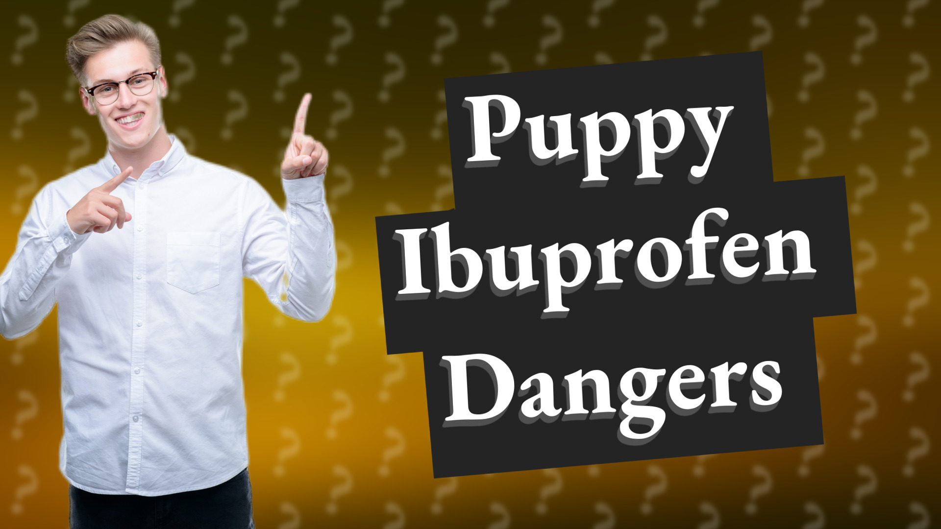 Puppy Ibuprofen Dangers