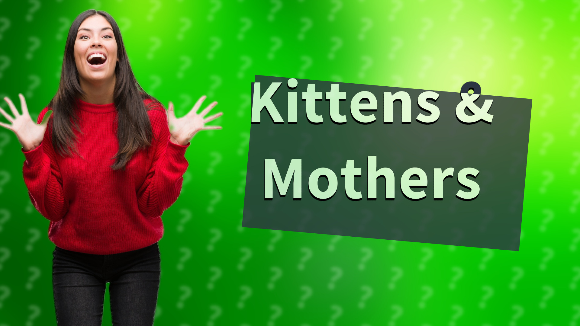 Kittens & Mothers