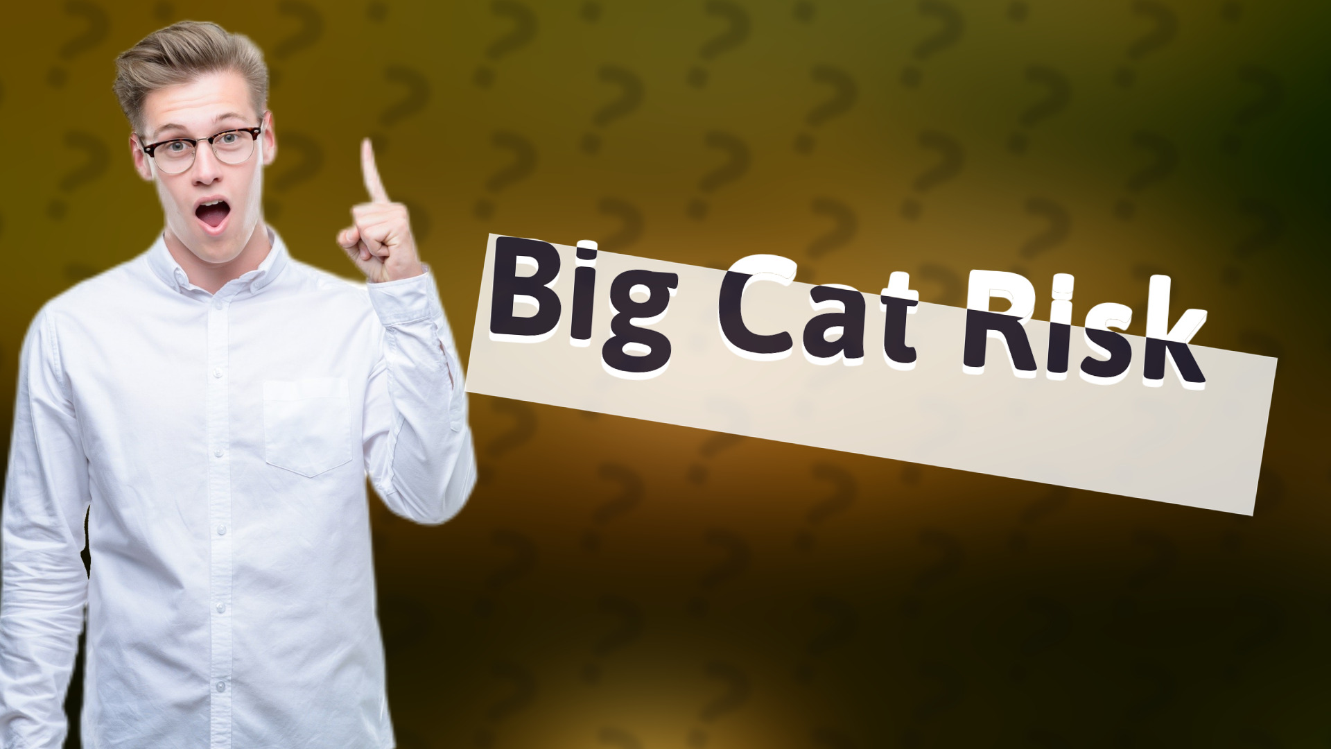 Big Cat Risk