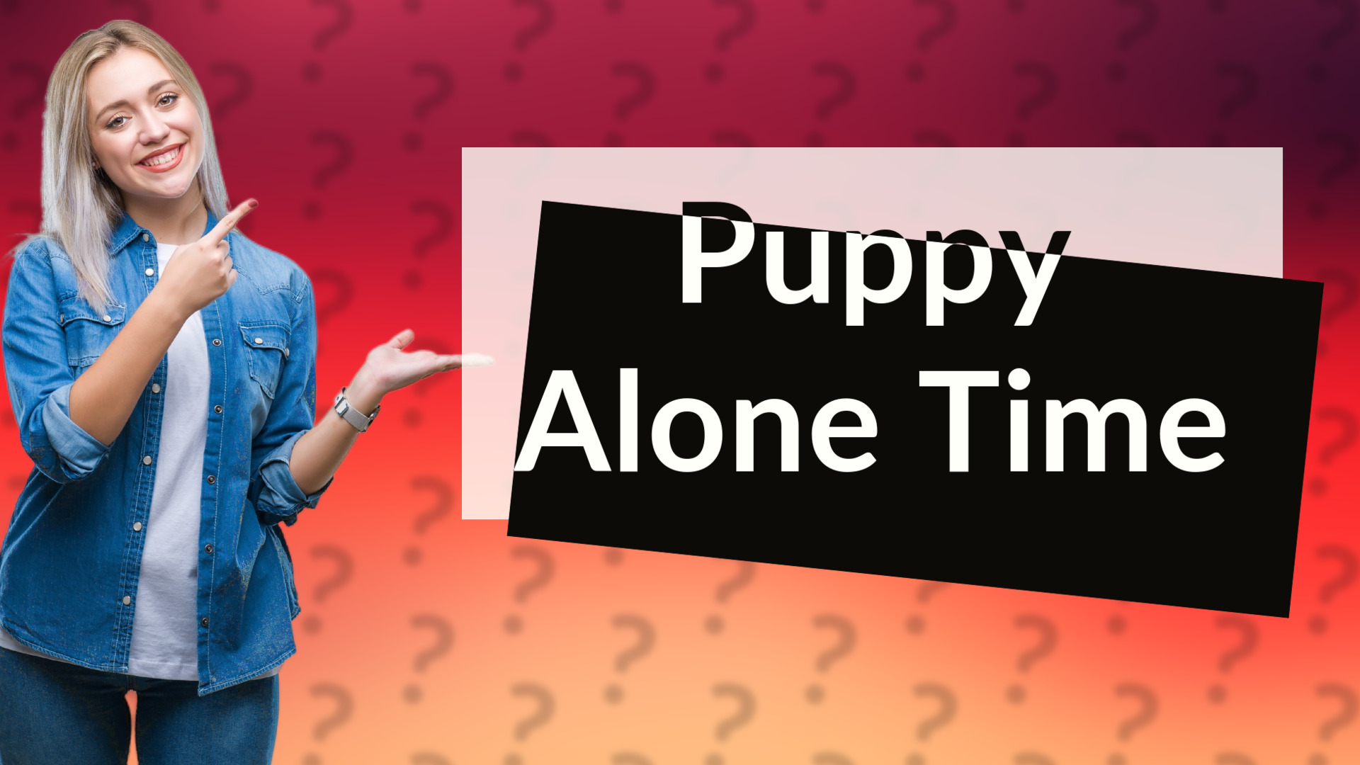 Puppy Alone Time