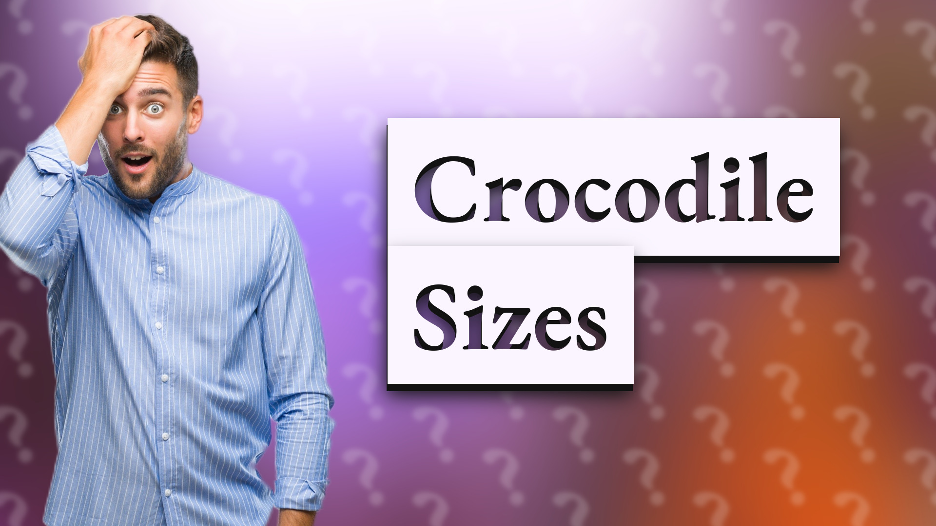Crocodile Sizes