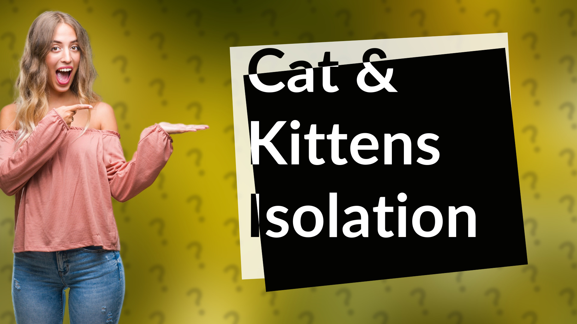 Cat & Kittens Isolation