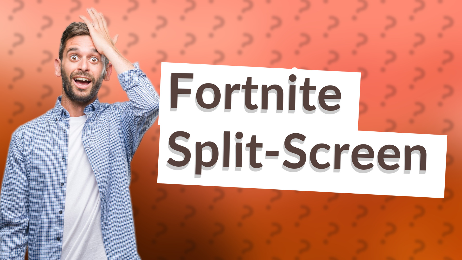 Fortnite Split-Screen