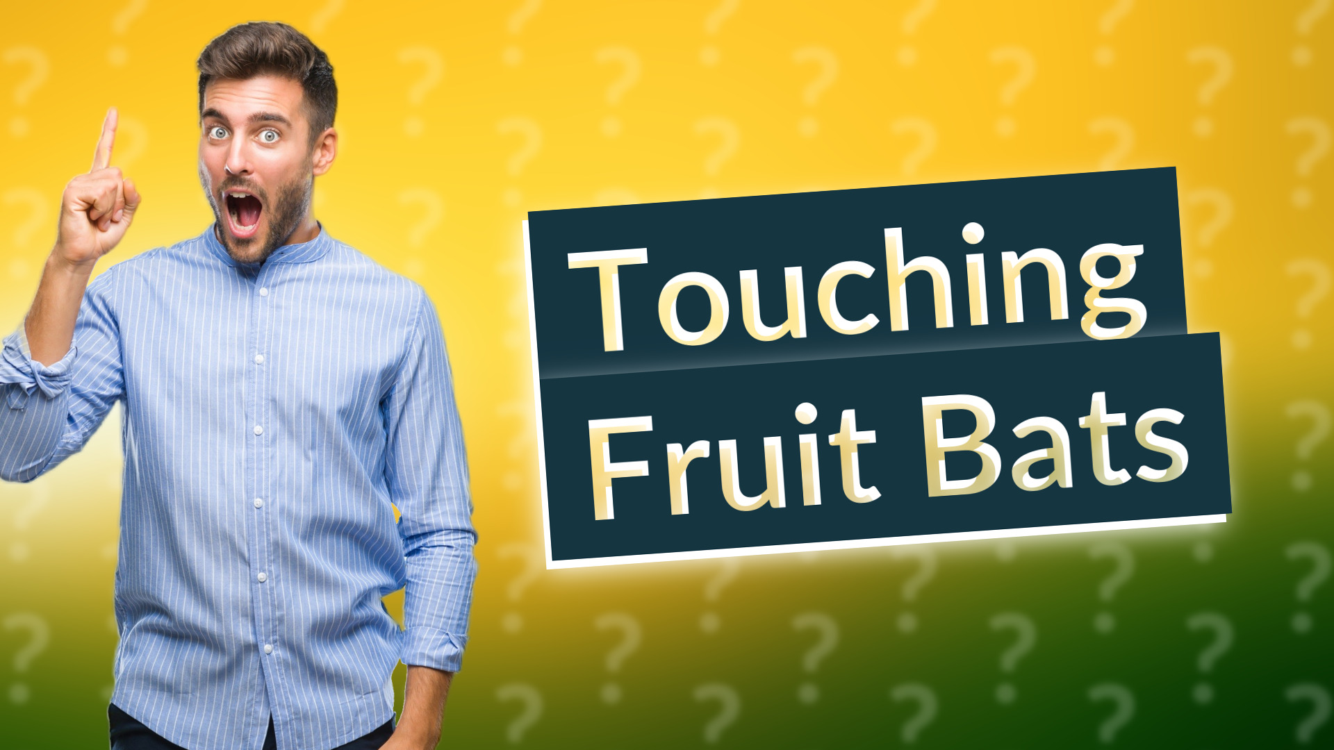 Touching Fruit Bats
