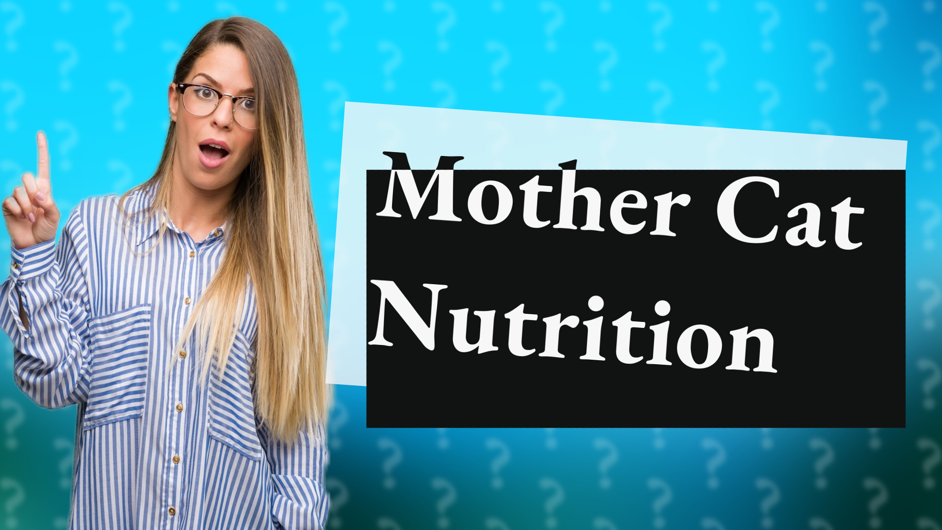 Mother Cat Nutrition