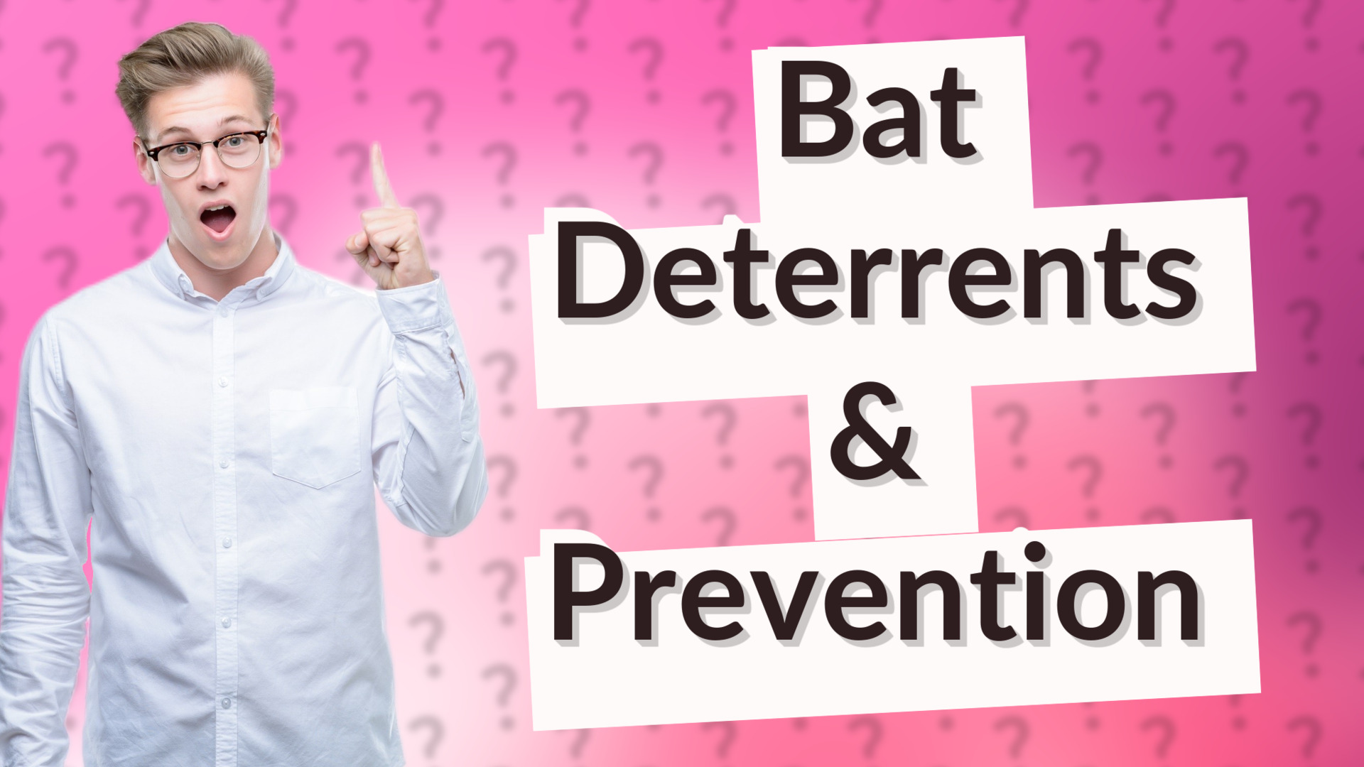Bat Deterrents & Prevention
