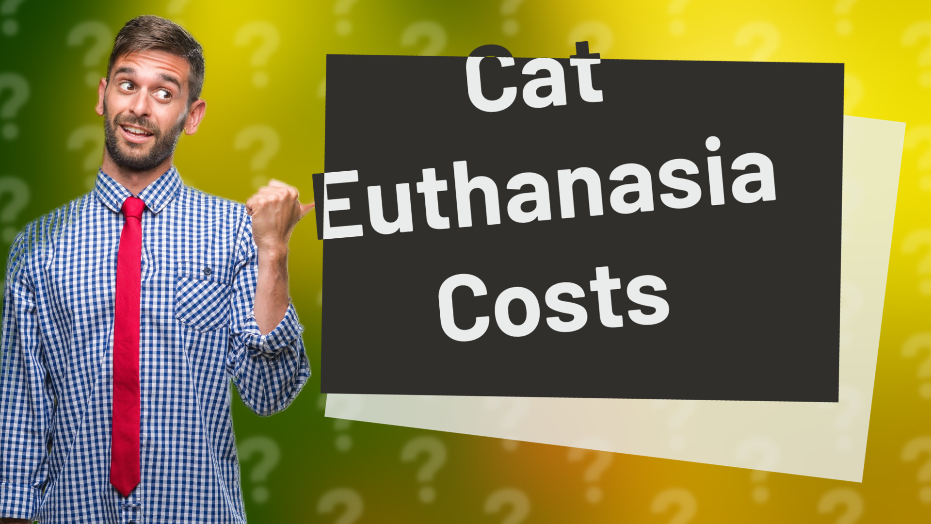 Cat Euthanasia Costs