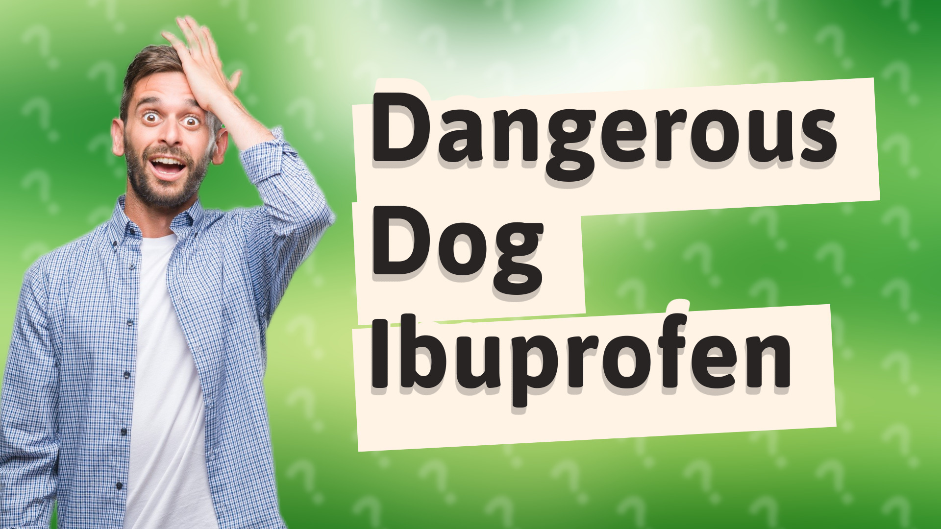 Dangerous Dog Ibuprofen