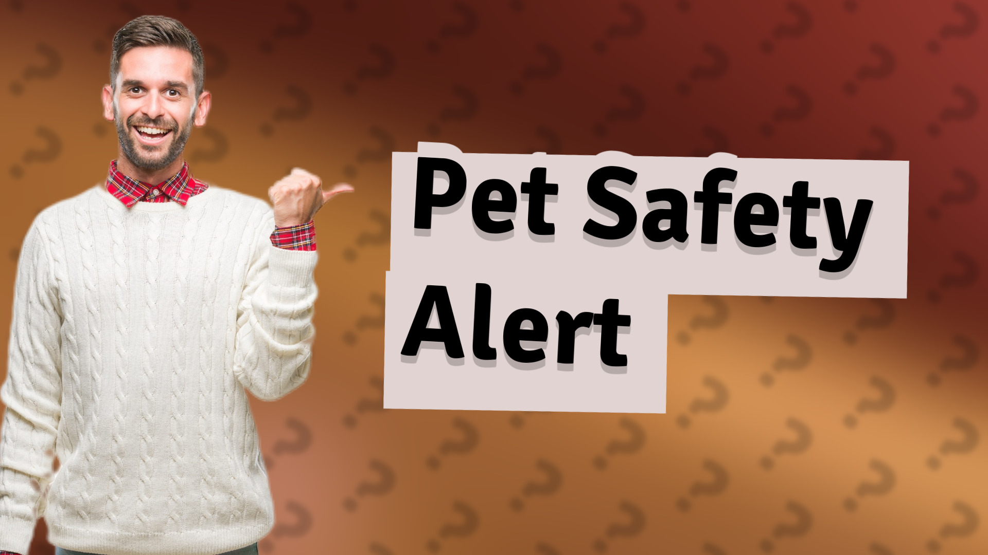 Pet Safety Alert