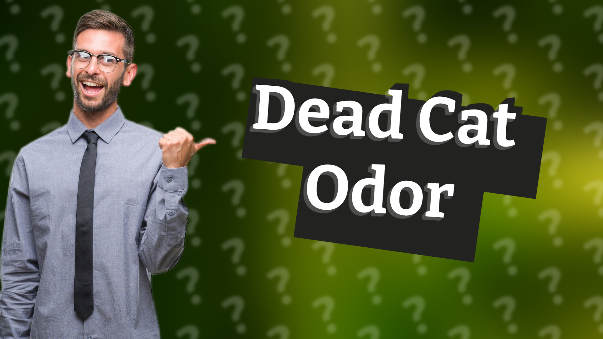 Dead Cat Odor