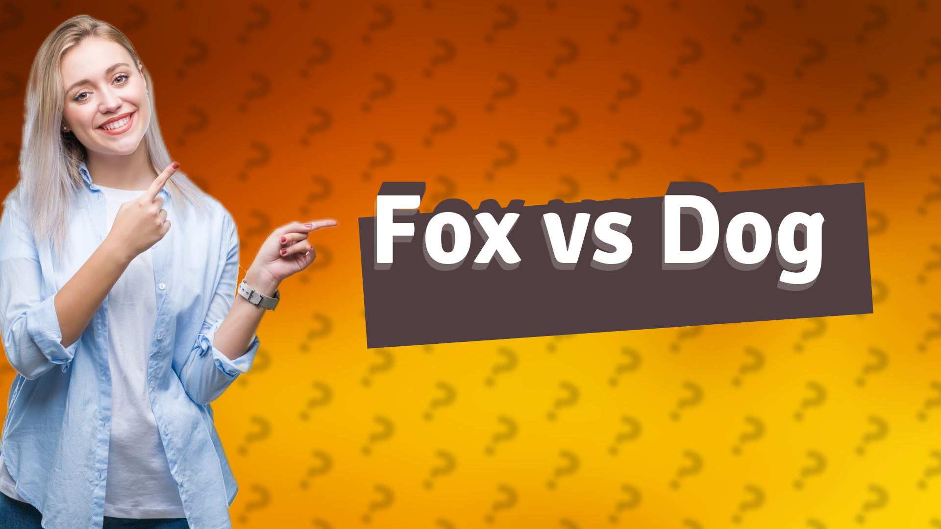 Fox vs Dog