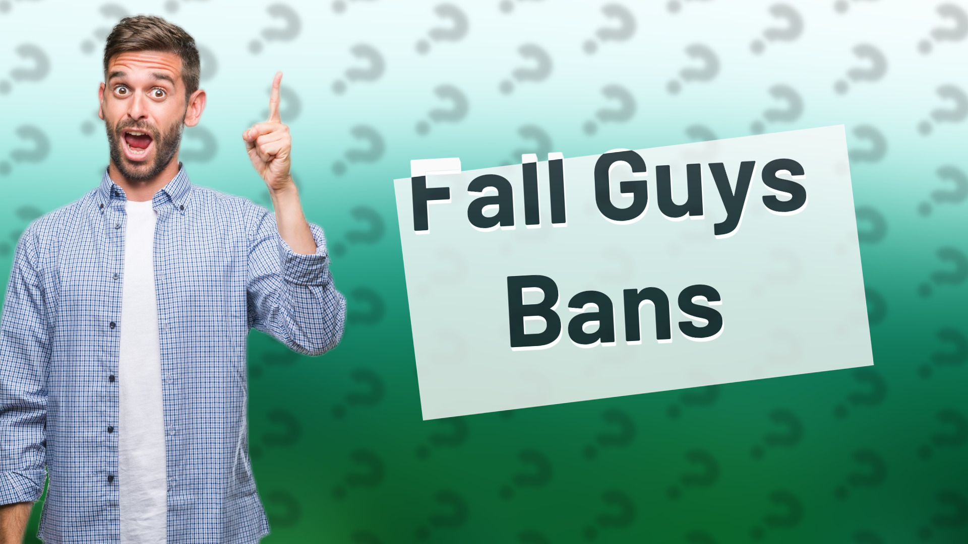 Fall Guys Bans