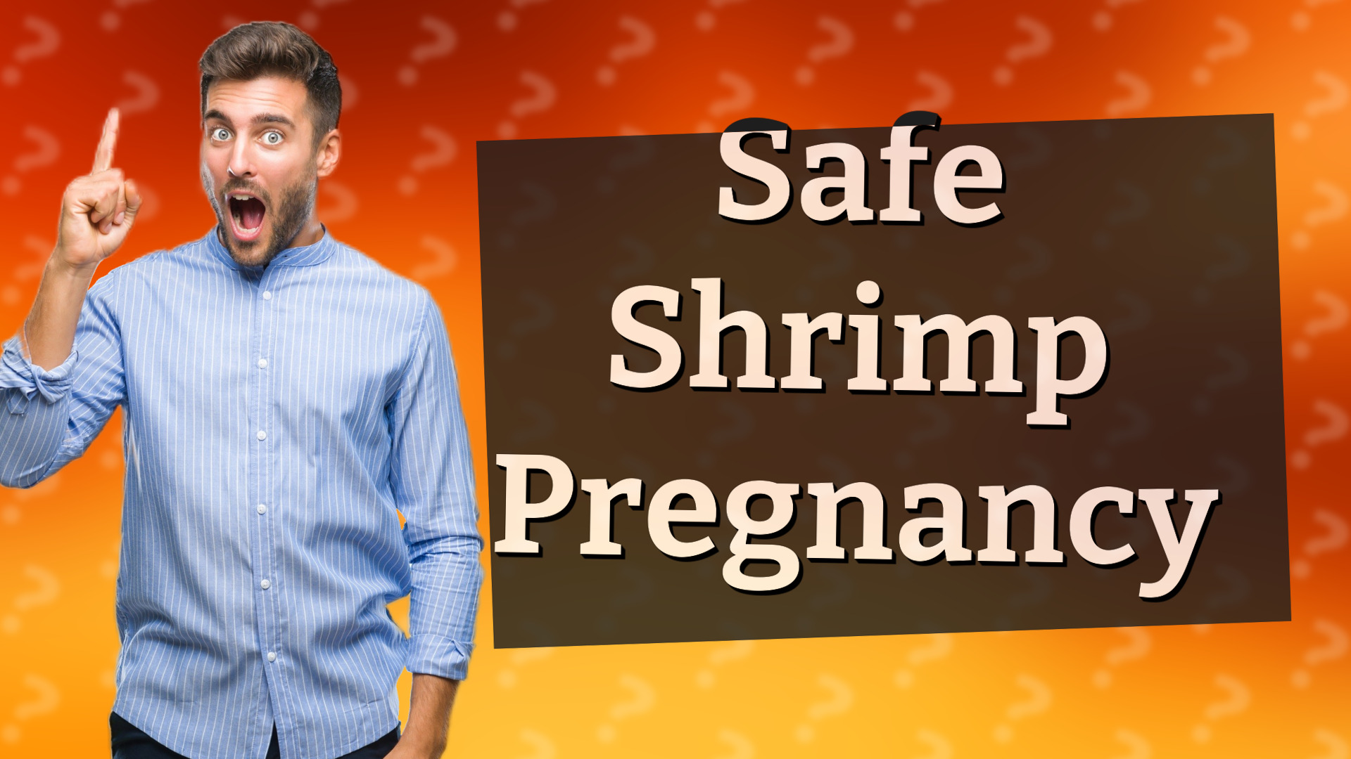 Safe Shrimp Pregnancy