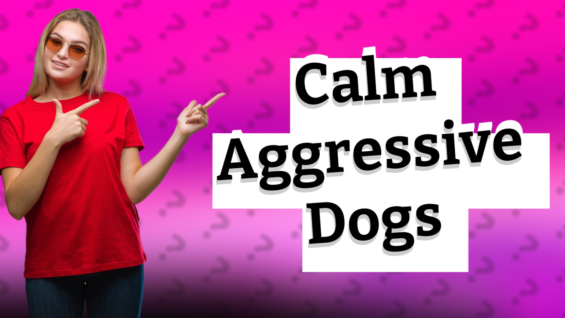 Calm Aggressive Dogs
