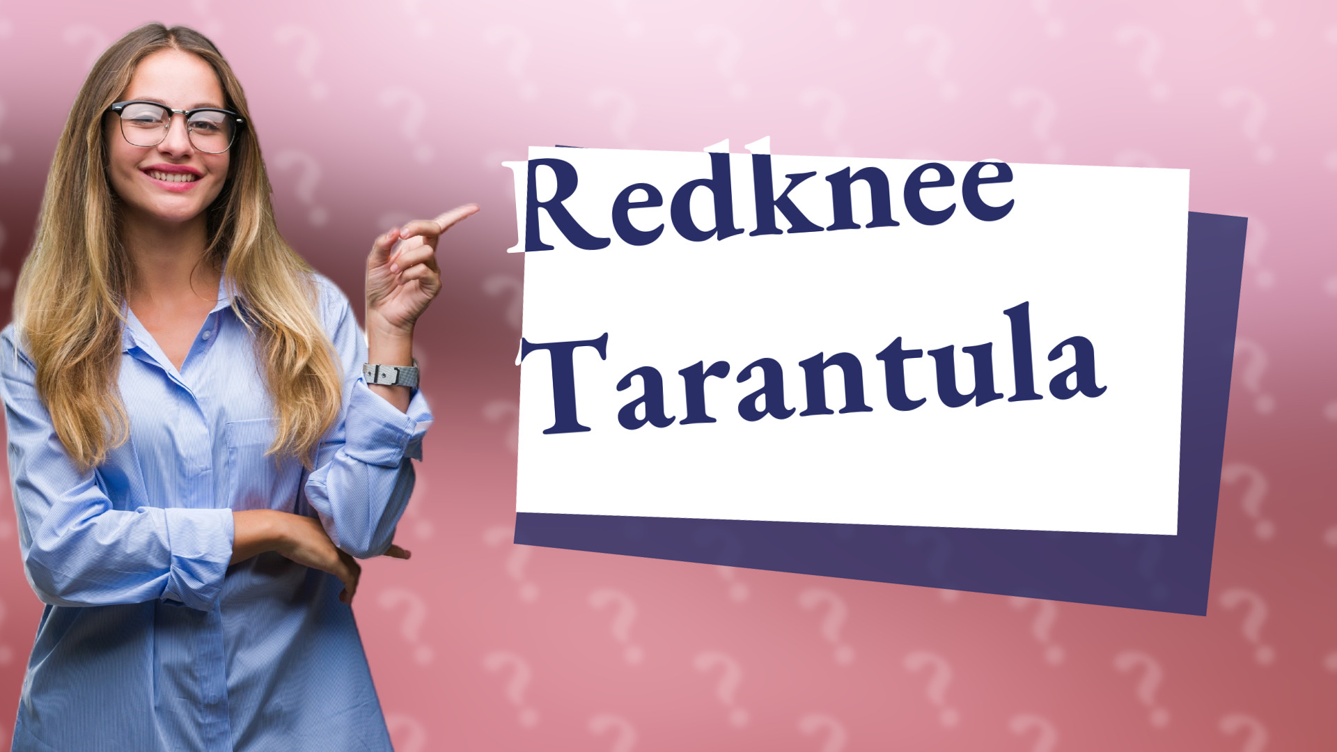Redknee Tarantula