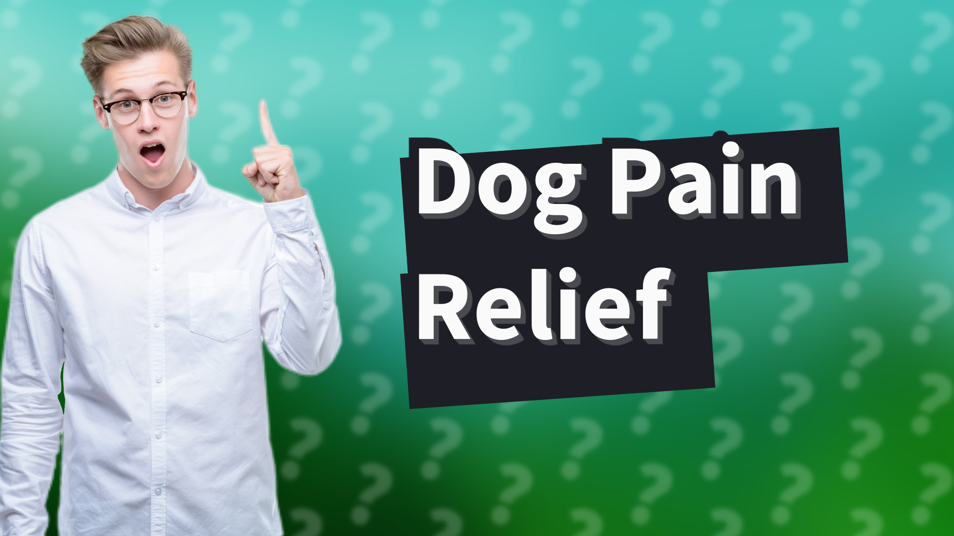 Dog Pain Relief