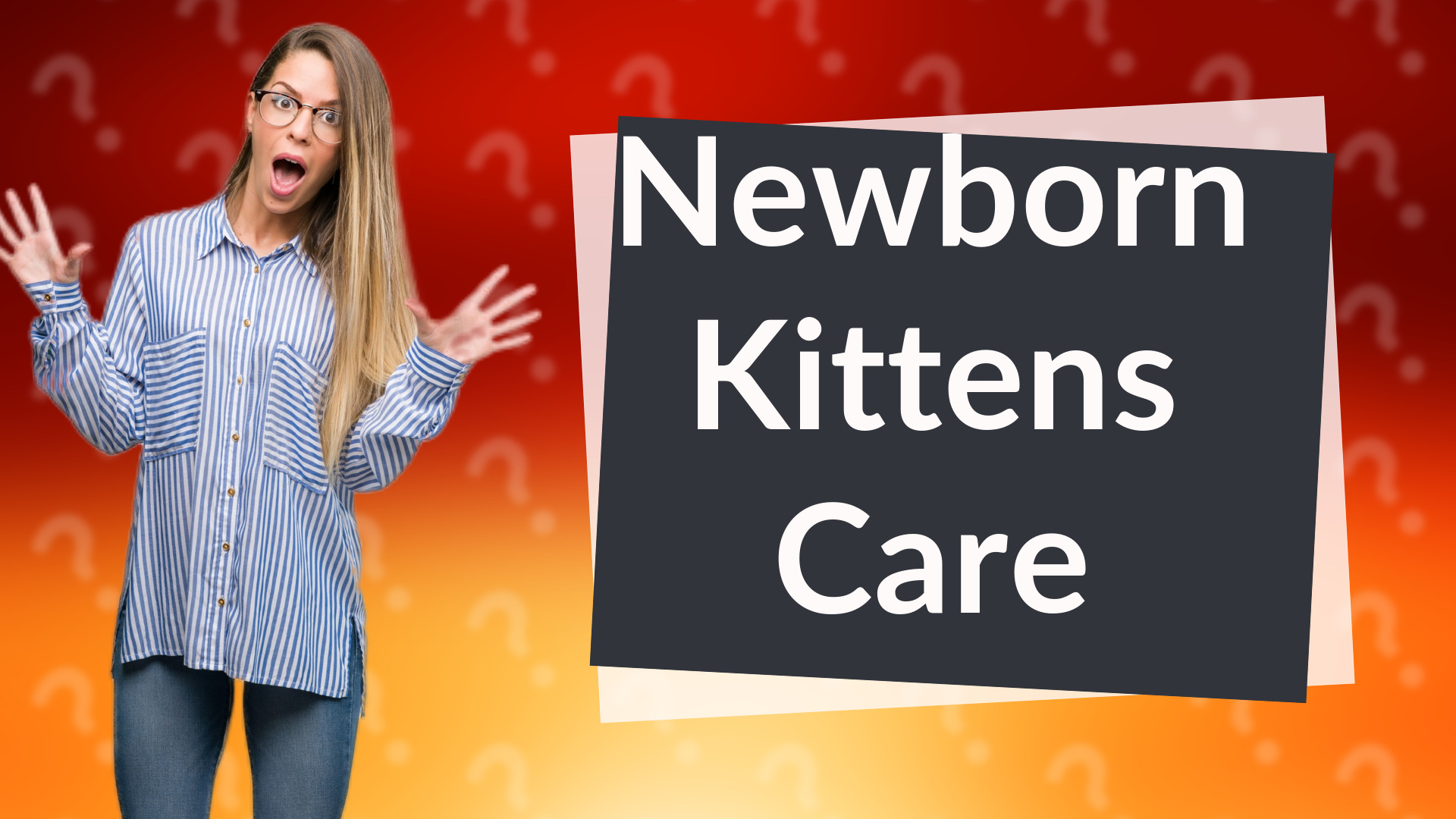 Newborn Kittens Care